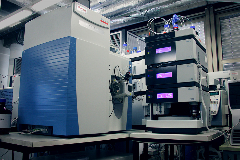 q-execative-plus.jpg q-execative-plus.jpg